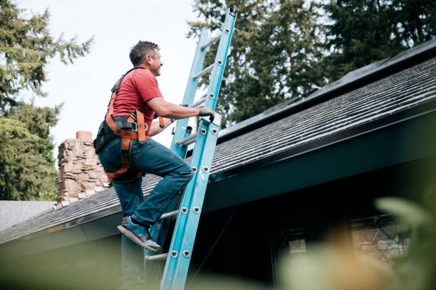 Best Roof Maintenance and Cleaning  in Highland Park, IL